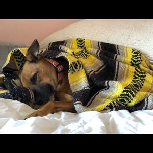 Meet your Posher, Mary